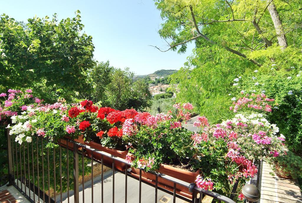 Villa Fiorita Grottammare Exterior photo